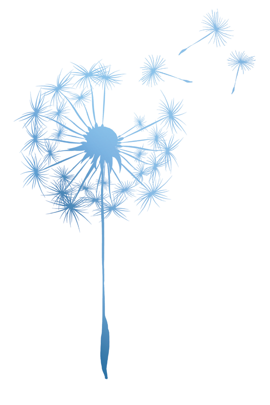 Access Bars - immagine del soffione Access Bars - immagine del soffione